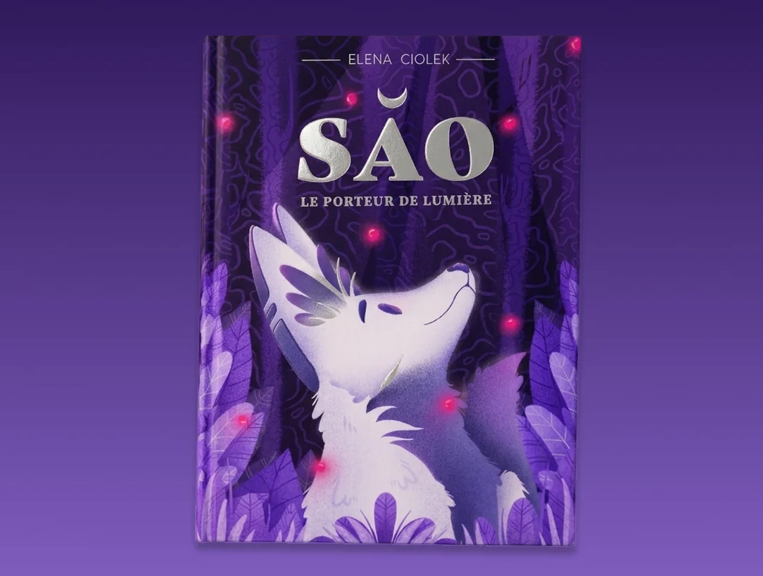 Couverture de « Sao, le porteur de lumière »