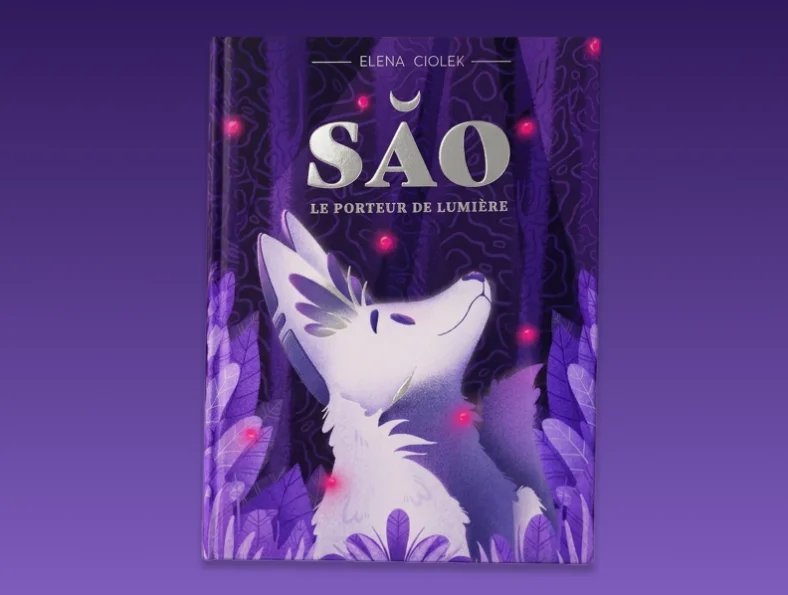 Couverture de « Sao, le porteur de lumière »